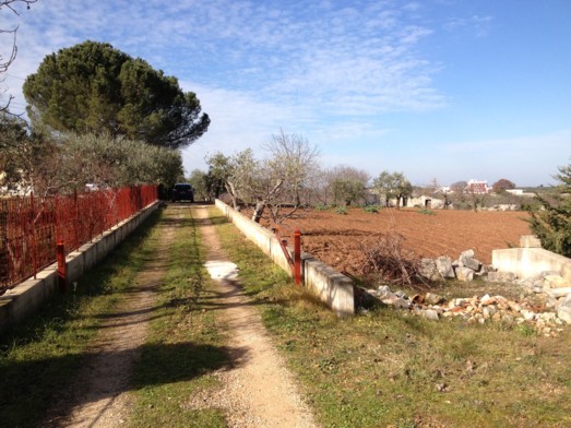Tra Conversano e Putignano Trullo Con Annesso Deposito e Terreno